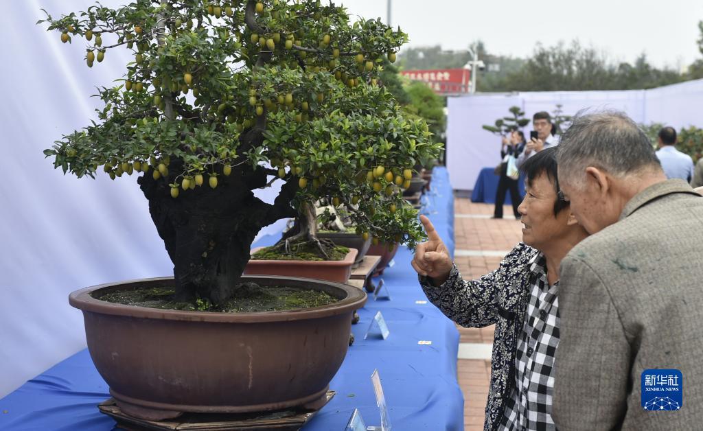 万发国际